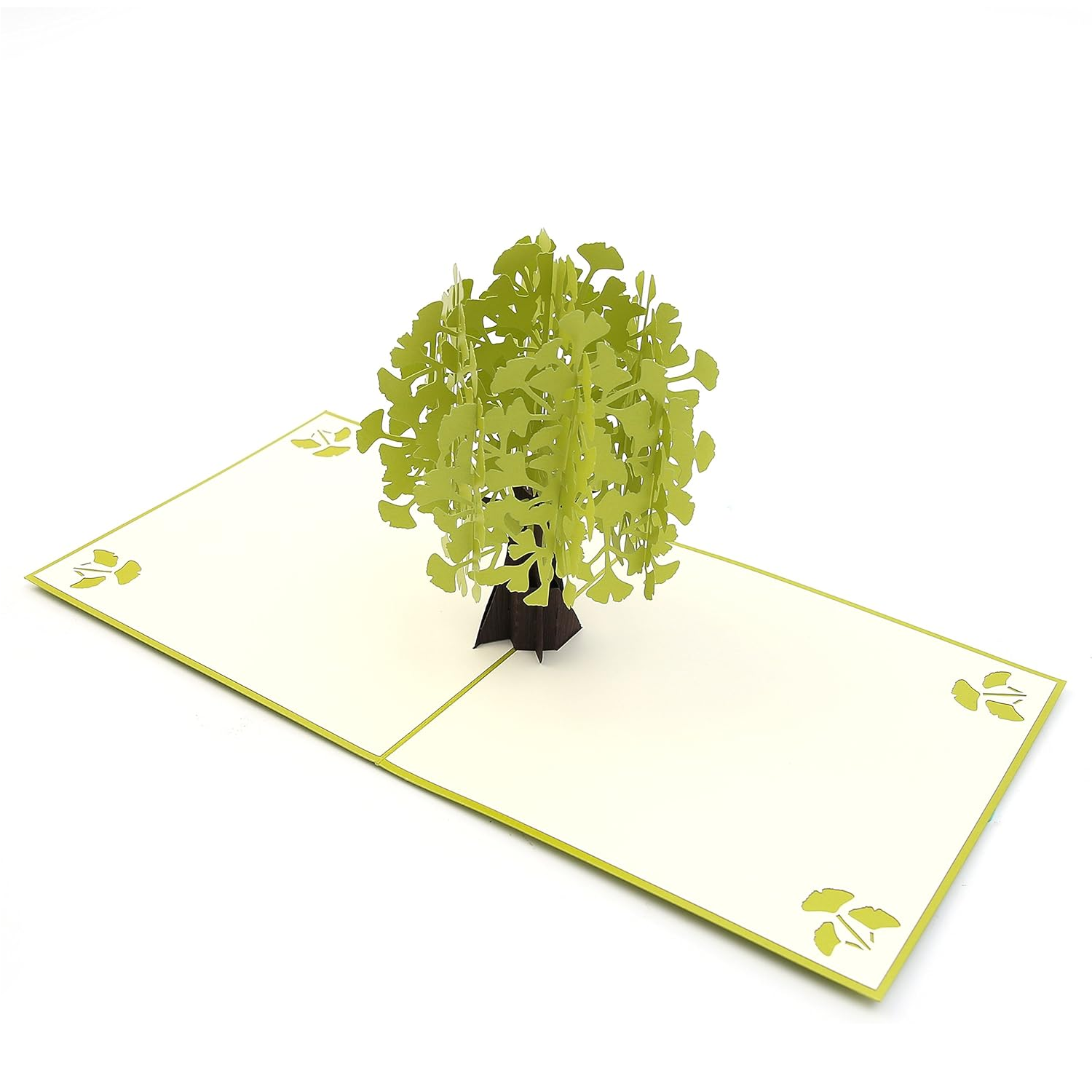 Pop-up Card _ Ginkgo Biloba