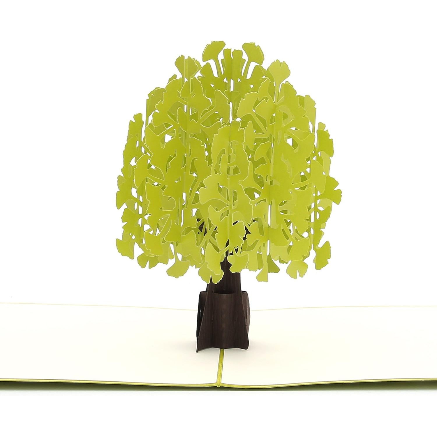 Pop-up Card _ Ginkgo Biloba