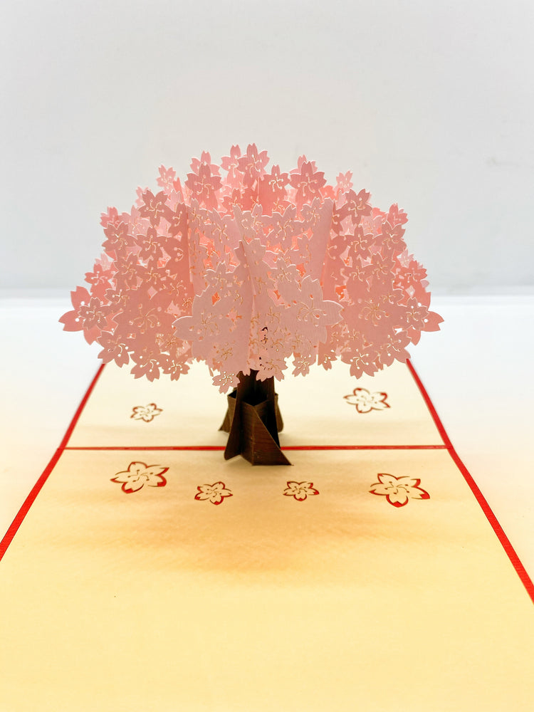 Pop-up Card _ Cherry Blossom